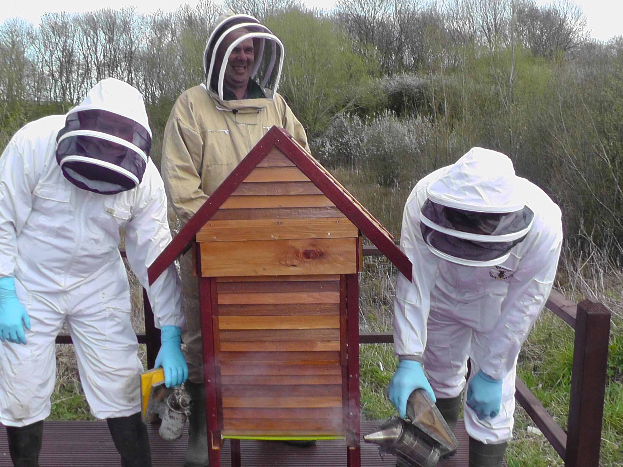 Bee hives on the Cranfield campus